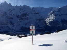 First – Grindelwald