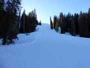 Difficult Roßkopf Run