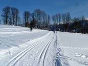 Cross-country trails in Ramsau am Dachstein