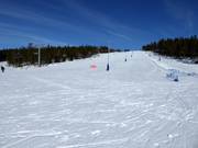 Wide and easy slope Västbacken No. 1