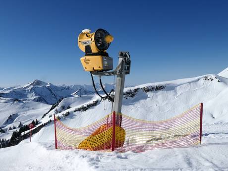 Snow reliability Bregenzerwald – Snow reliability Damüls Mellau