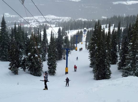 Alpine T-Bar