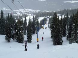 Alpine T-Bar