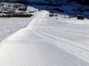 The steeper slopes are also perfectly prepared with great effort.