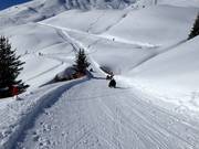Toboggan run in the First ski area