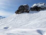 Loser Freeride Area