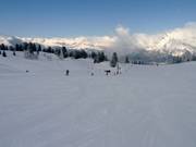 Easy slope Chamois