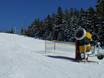 Snow reliability Black Forest (Schwarzwald) – Snow reliability Hundseck – Bühlertallifte