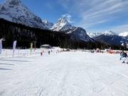 Beginner area on the Ehrwalder Alm