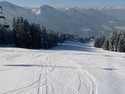 FIS downhill