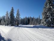 High-altitude trail Roßbrand