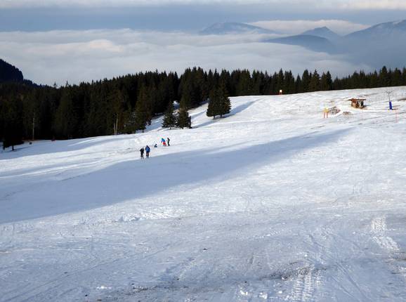 Easy slope at the Waldlift