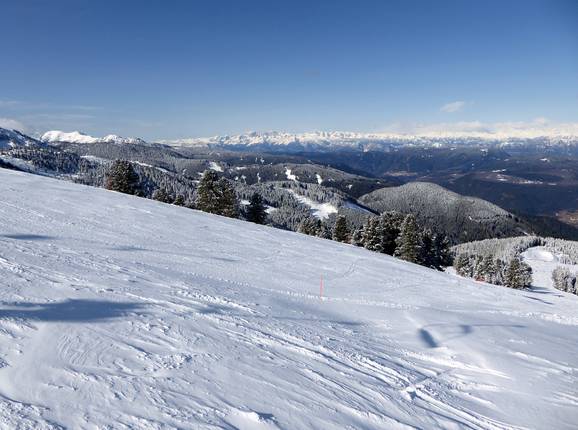 View from the Alpe Cermis