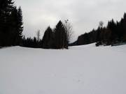Family Kogel Run