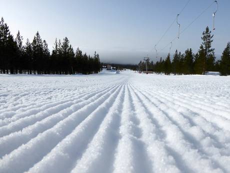 Slope preparation Sweden – Slope preparation Idre Himmelfjäll