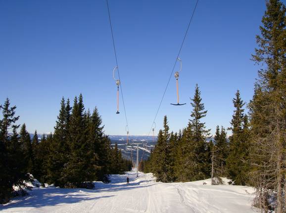 Buåsheisen
