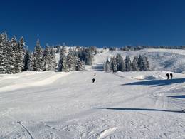 Laterns – Gapfohl