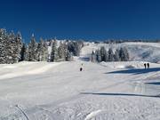 View of the ski area below the Nob