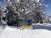 Clear signposts