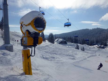 Snow reliability Black Forest (Schwarzwald) – Snow reliability Feldberg – Seebuck/Grafenmatt/Fahl