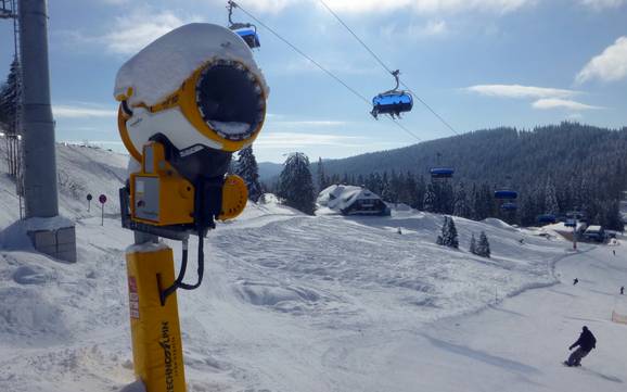 Snow reliability Breisgau-Hochschwarzwald – Snow reliability Feldberg – Seebuck/Grafenmatt/Fahl