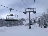 Wildcat Express