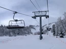 Wildcat Express