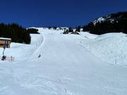 Uga downhill run