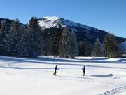 Cross-country trails in the Tannheimer Tal