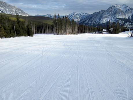 Slope preparation Alberta – Slope preparation Nakiska