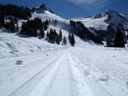 Trail on the Stoos