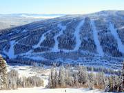 View of the slopes at Mt. Morrisey