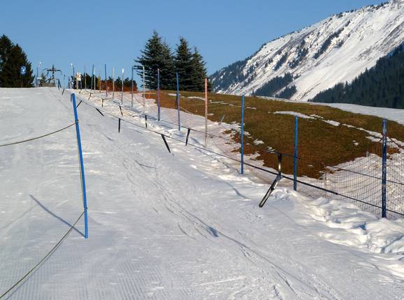 Skikuli