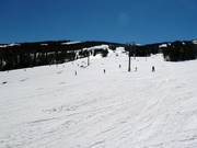 Runs at Peak 8