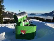 Snow cannon