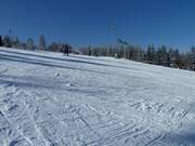 Natural snow