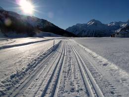 Aela – Maloja