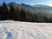 At the mountain station