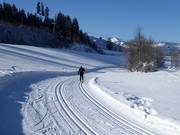 Trail in Brixental