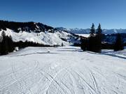 Hörnle Run