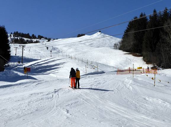 Sasolas-Plitschès