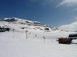 Lièvre Blanc