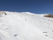 Easy slope No. 15