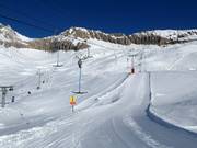 Sparrhorngratlift - T-bar