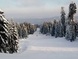 Ochsenkopf