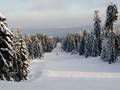 Slopes Ochsenkopf