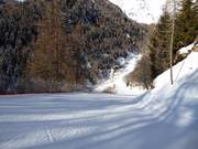 Valley run Tarlenta