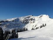 View of the freeride descents at Grand Chamossaire (Villars)