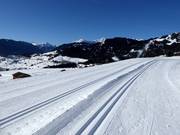 Trail in Fiss