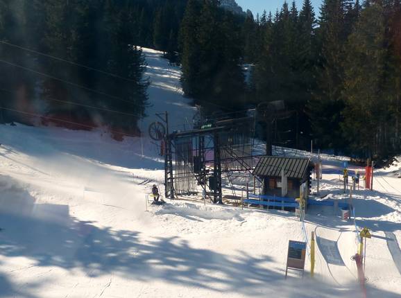 Stade